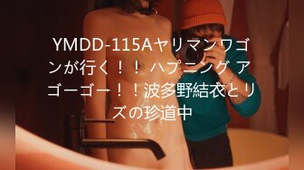 YMDD-115Aヤリマンワゴンが行く！！ ハプニング ア ゴーゴー！！波多野結衣とリズの珍道中