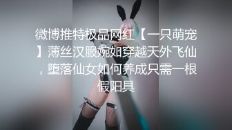 微博推特极品网红【一只萌宠】薄丝汉服婉如穿越天外飞仙，堕落仙女如何养成只需一根假阳具