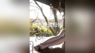 后入骚逼母狗