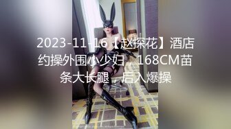 2023-11-16【赵探花】酒店约操外围小少妇，168CM苗条大长腿，后入爆操