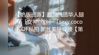 【绝版资源】超高气质华人腿模「女神丝丝」「sexy.coco」OF私拍 黑丝美腿蜂腰【第一弹】 (3)