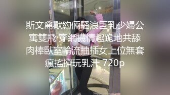 中文字幕 女友的姐姐很迷人，奶子硕大饱满短裙大长腿