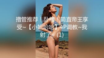 果冻传媒 一夜情 酒吧艳遇的美女居然是女友的姐姐-林凤娇