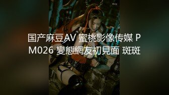 国产麻豆AV 蜜桃影像传媒 PM026 變態網友初見面 斑斑