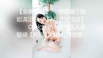 收集的一些淫妻BBC题材的合集1【385V】 (15)