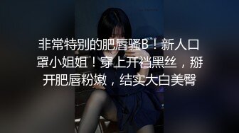 震撼福利☆☀️2024年新作超高颜值车模女神【太子妃】高门槛福利户外露出，调教，商场公园景区，屌炸天 (6)