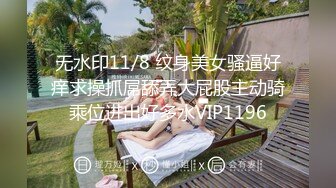 MCY-0027空姐女友被强暴-苏清歌