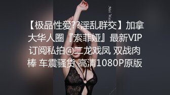 好气质的女神，还没开始就骚逼就开始流水