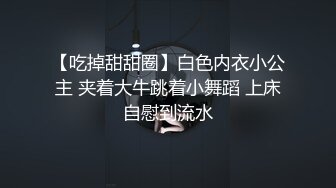 生命保险推销员的肉体推销 吉泽明歩