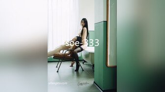 soe-333