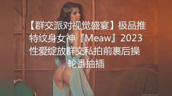 【群交派对视觉盛宴】极品推特纹身女神『Meaw』2023性爱绽放群交私拍前裹后操 轮番抽插