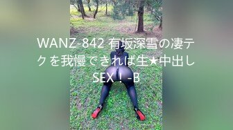 WANZ-842 有坂深雪の凄テクを我慢できれば生★中出しSEX！-B