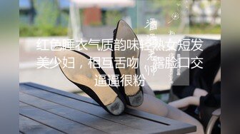 最高の爱人沼 仕事にも家庭にも干渉してこない、セックスだけの理想关系を巨乳美女と…。 つばさ舞