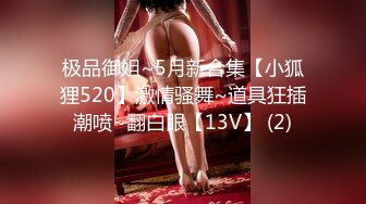 极品御姐~5月新合集【小狐狸520】激情骚舞~道具狂插潮喷~翻白眼【13V】 (2)