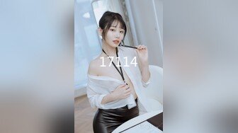 STP27197 极品美女【十柒学姐】扶着桌子被炮友后入，黑丝美腿性感翘臀，坐椅子上抬起双腿，一下下深插 VIP0600