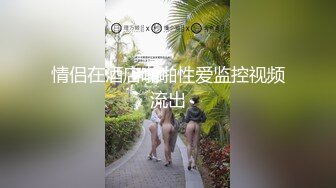 【极品稀缺❤️孕妇也疯狂】❤️孕之美❤️良家大肚小情人孕妇自拍性爱啪啪甄选 爆乳大肚子 你可以内射 高清720P版 (4)