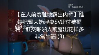 【在人前羞耻地露出内裤】推特肥臀大奶淫妻SVIP付费福利，肛交啪啪人前露出花样多非常牛逼 (3)