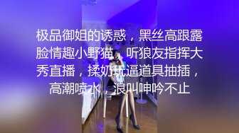 户外挑战天花板推特红人【查小理】旗下母狗，裸舞乳头坠物挑战，全裸乳夹男厕露出给陌生小哥口交 (1)